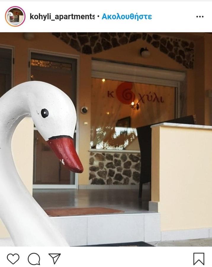 Kohyli Apartments Skala Rachoni  エクステリア 写真